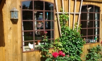 Rote Rosen vor der Grillscheune